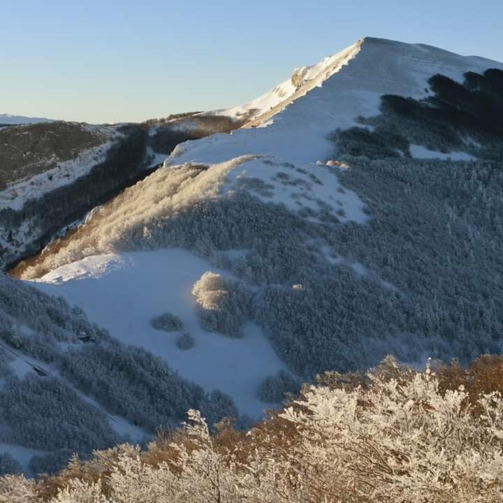 Villard De Lans المظهر الخارجي الصورة