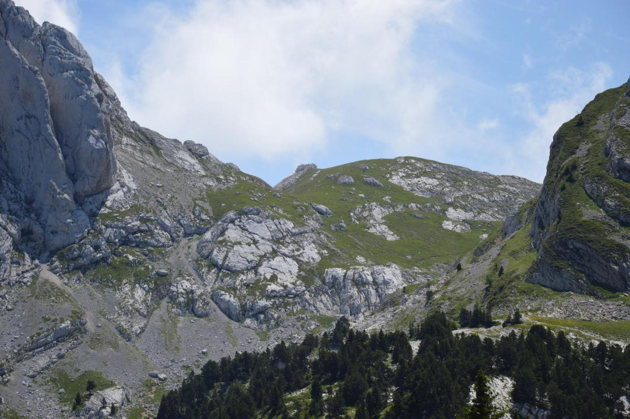 Villard De Lans المظهر الخارجي الصورة